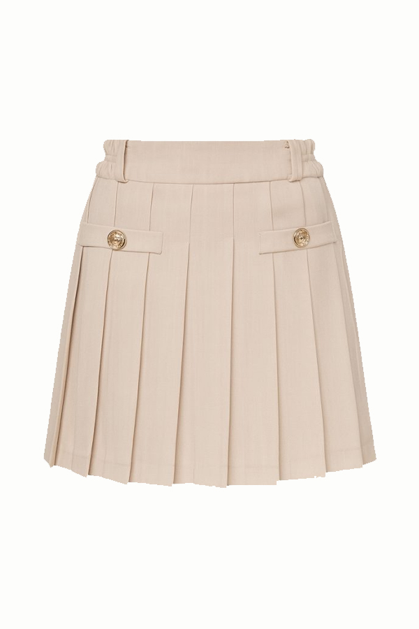 Calivienne Pleated Mini Skirt 2