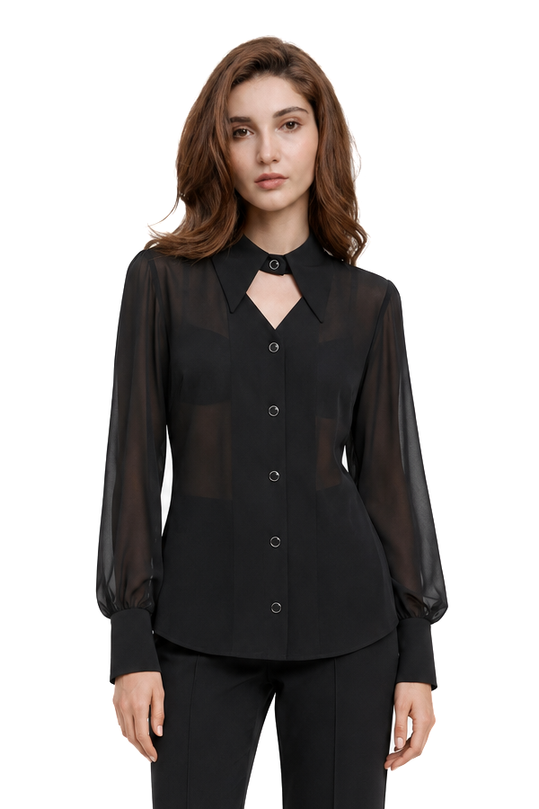 Lysandra Sheer Blouse